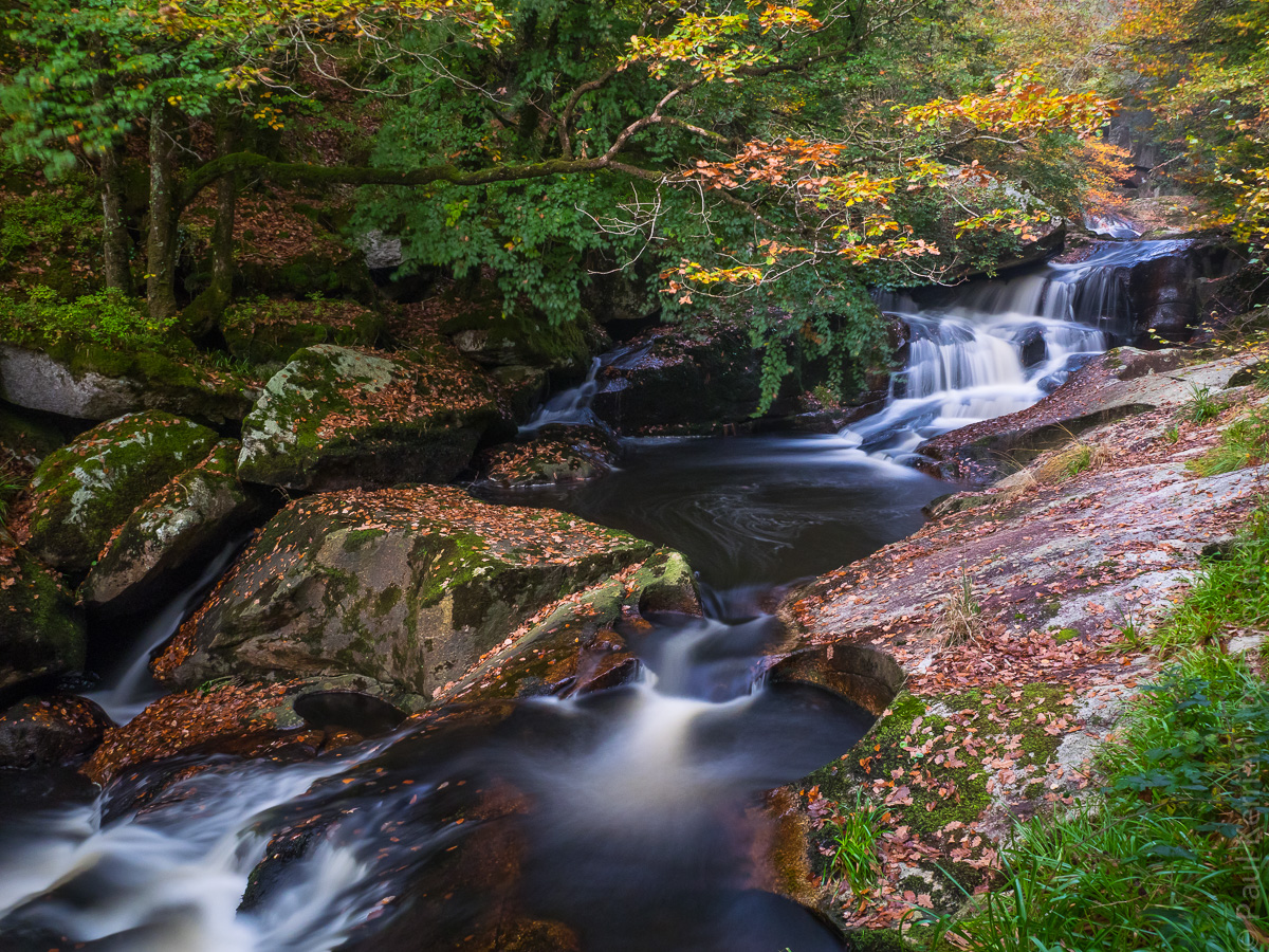 la rétro. de 2016 en 51 photos