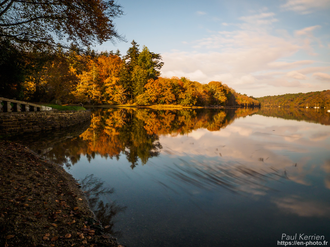la rétro. de 2017 en 76 photos