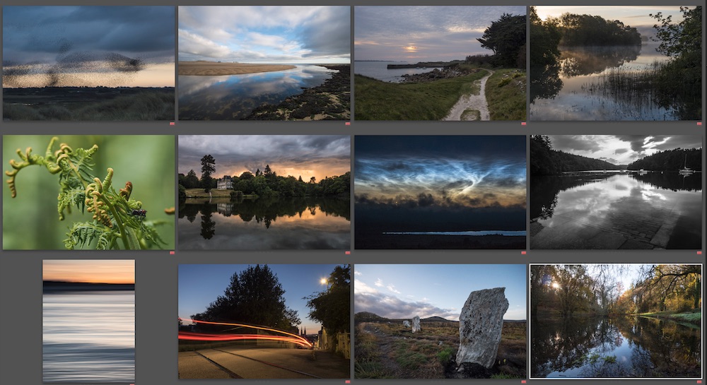 la rétro. de 2022 en 12 photos