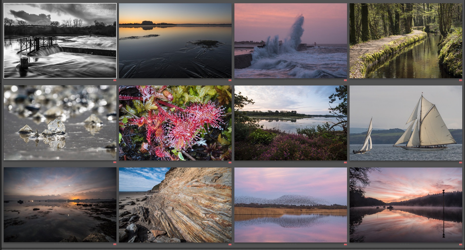 la rétro. de 2023 en 12 photos